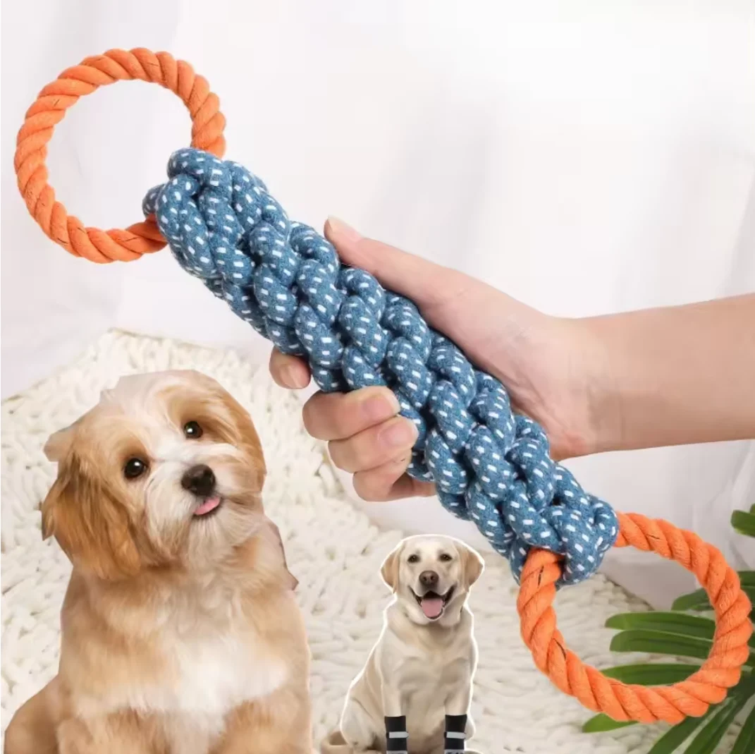 How to Choose Safe Chew Toys for Puppies of All Sizes