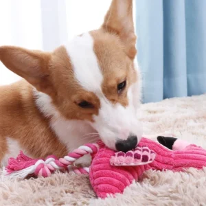 Animal Shape Squeaky Toys Plush Dog Toy Cute Bite Resistant Corduroy Dog Toys for Cat Dogs Puppy Pet Dog Accessories